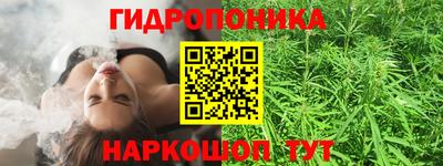 ешки Донецк