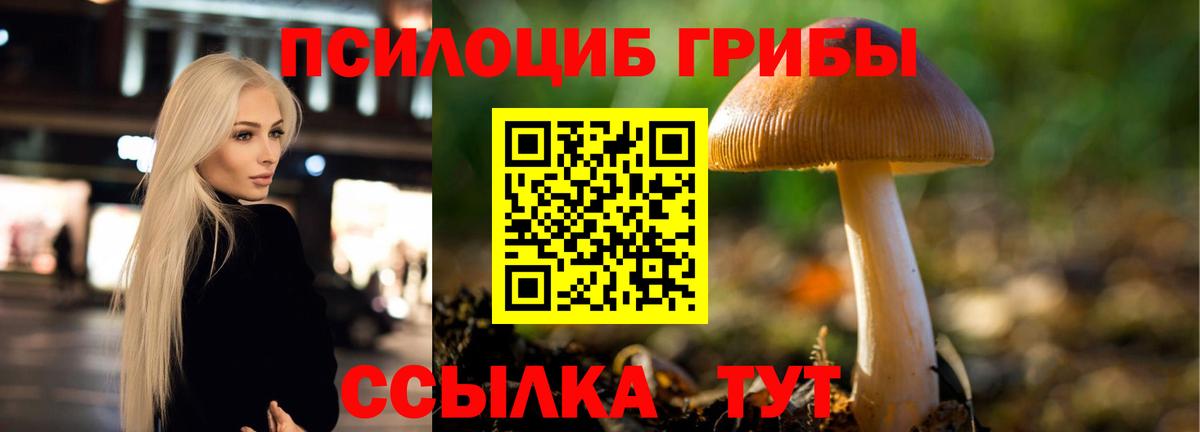 Галлюциногенные грибы ЛСД  магазин продажи   Бутурлиновка  Вход с VPN 
